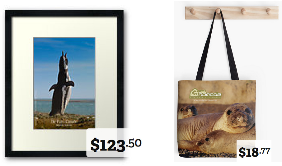 buy a gift from Valdes Peninsula